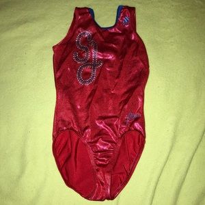 Shawn Johnson leotard